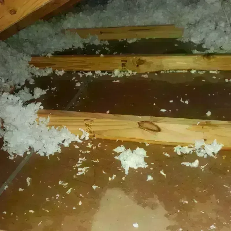 Attic Water Damage in Marlboro, NY