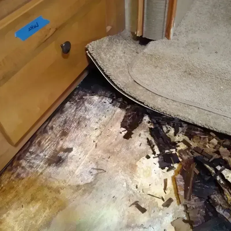 Wood Floor Water Damage in Marlboro, NY